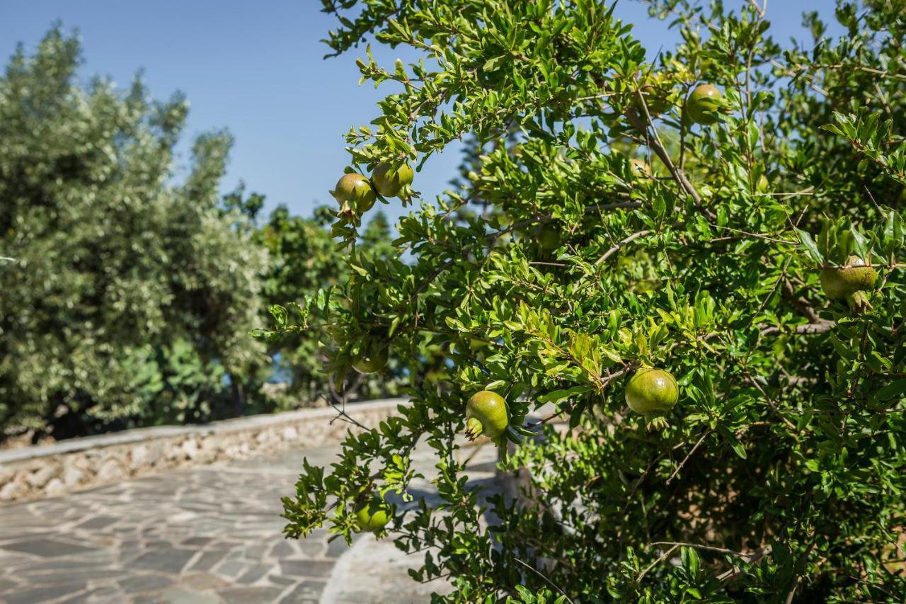 Ploes Luxury Cottages Pesádha Zewnętrze zdjęcie